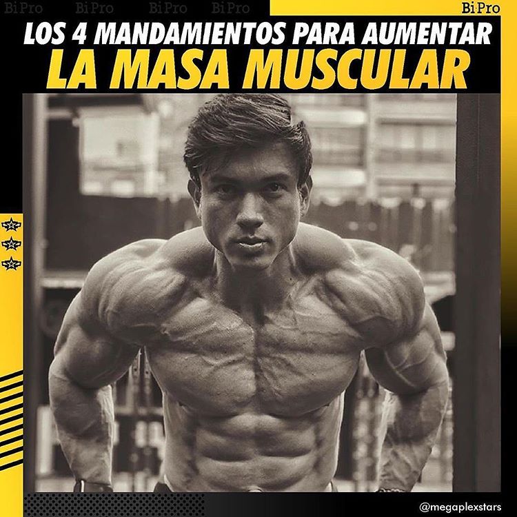 119421350 803694103749410 7878529223895506177 N - Suplemento deportivo en Proteina.co Colombia